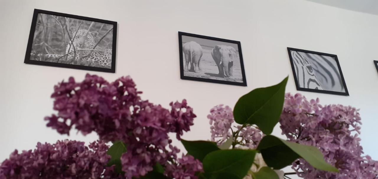 Ferienwohnung Wittenberge Luaran gambar